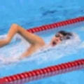 女子游泳赛